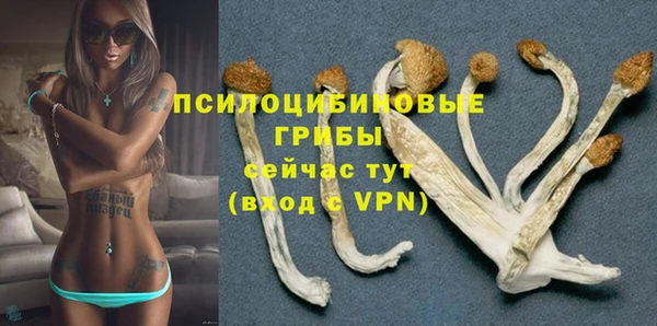 марки nbome Богданович
