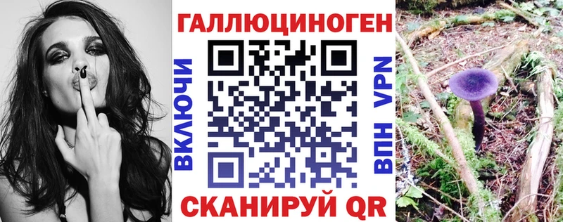 блэк спрут ТОР где продают Реж Псилоцибиновые грибы Magic Shrooms