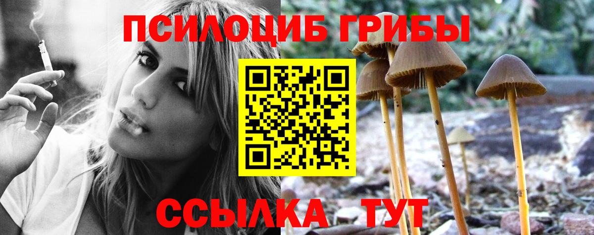 Псилоцибиновые грибы Cubensis Реж